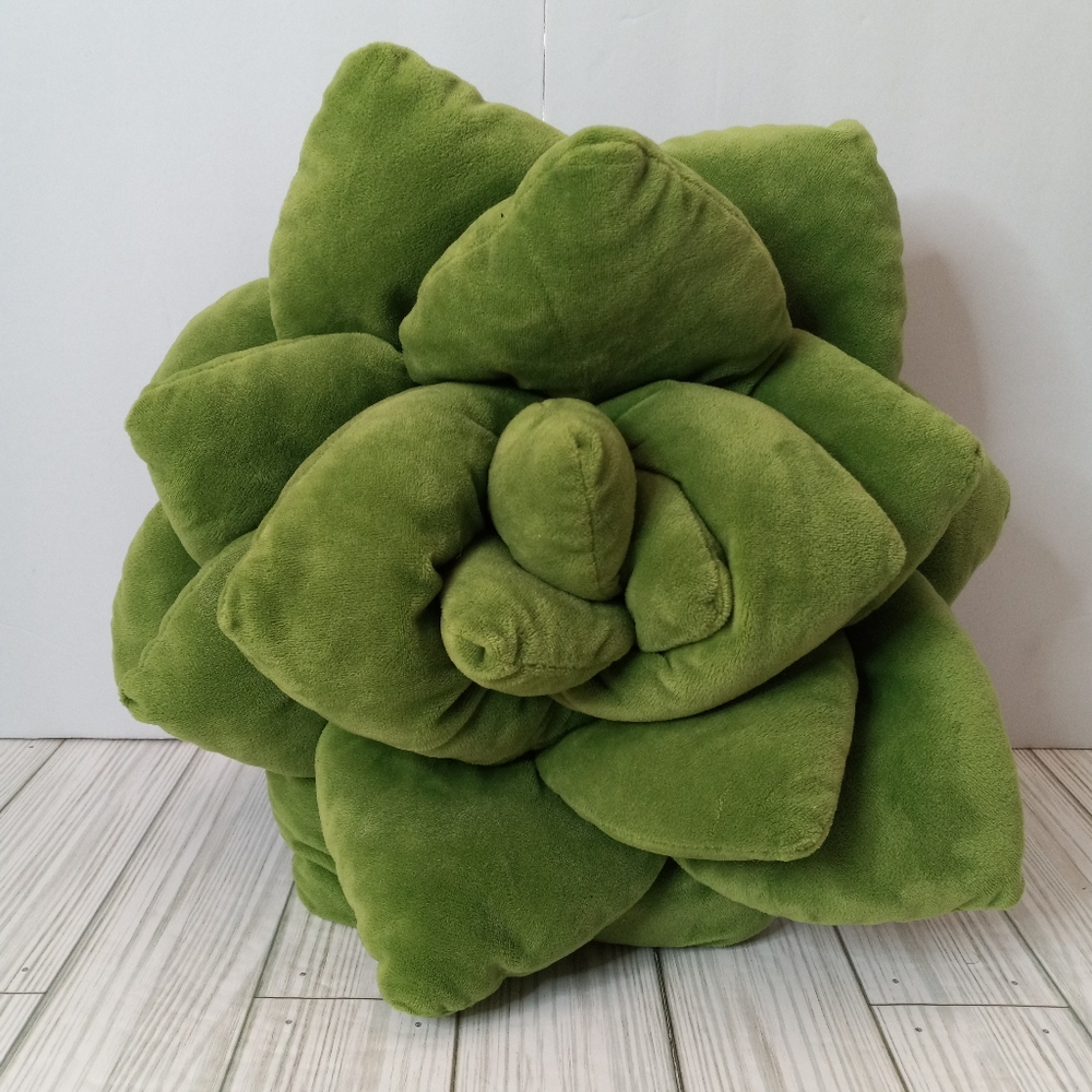 Green Philosophy Succulent Accent Pillow